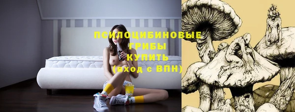 гидропоника Семилуки