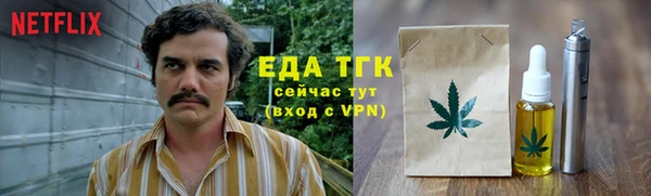 крисы Абаза
