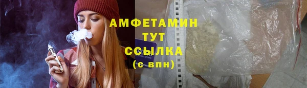 шишки Абинск