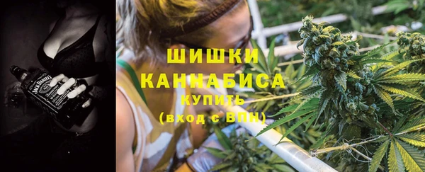 крисы Абаза
